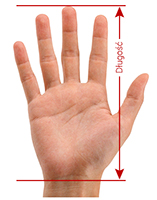 Długość dłoni