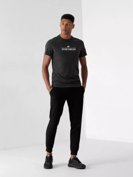 Koszulka męska 4F 4FSS23TTSHM539-23M