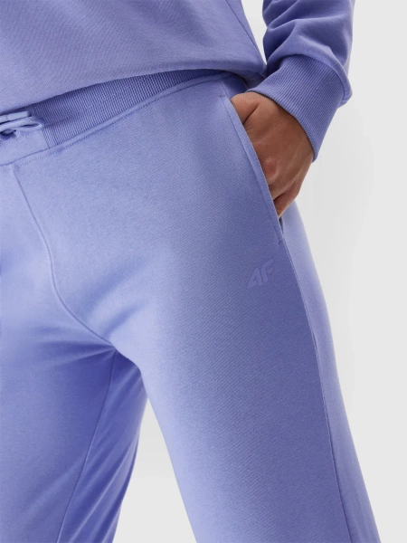 Spodnie dresowe damskie 4F 4FAW23TTROF474-32S 