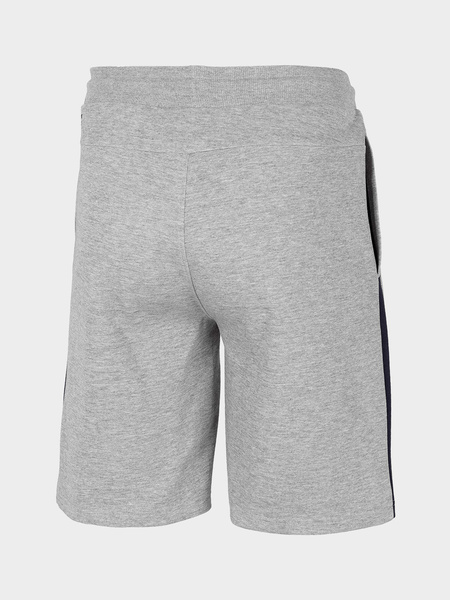 Spodenki męskie 4F H4L21-SKMD010-25M