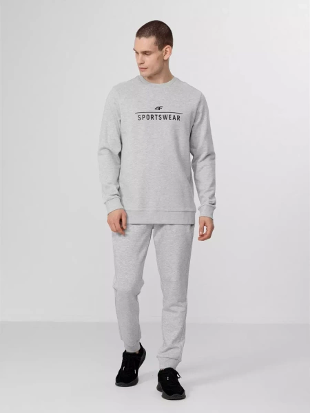 Bluza męska 4F H4Z22-BLM350-27M