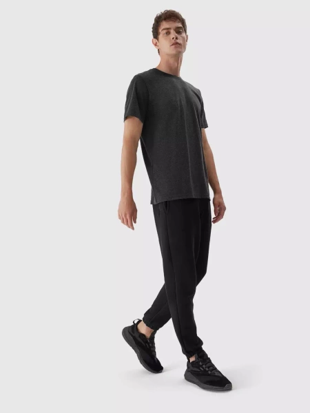 Koszulka męska 4F 4FAW23TTSHM0876-23M