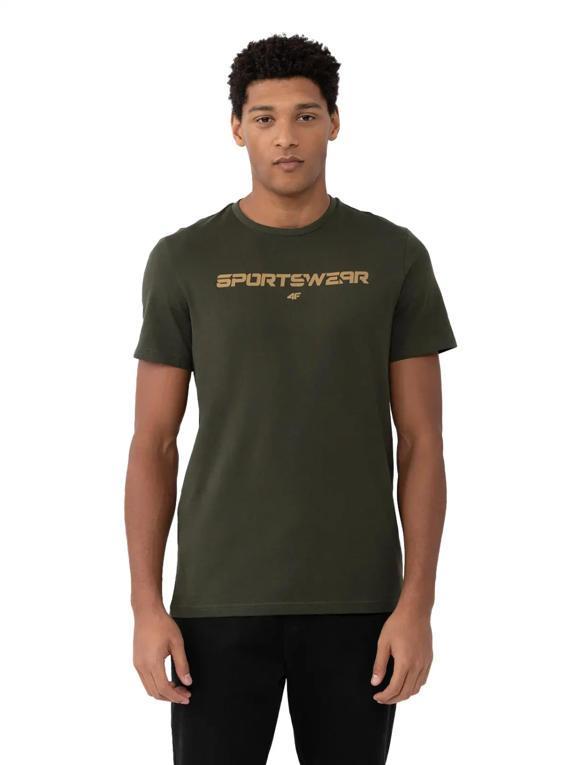 Koszulka męska  4F 4FAW23TTSHM0950-43S