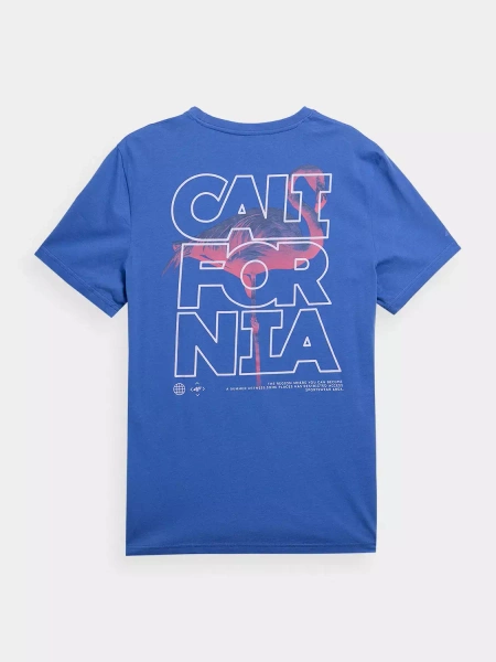 Koszulka męska 4F 4FSS23TTSHM360-36S