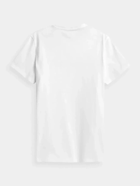 Koszulka męska 4F 4FSS23TTSHM539-10S