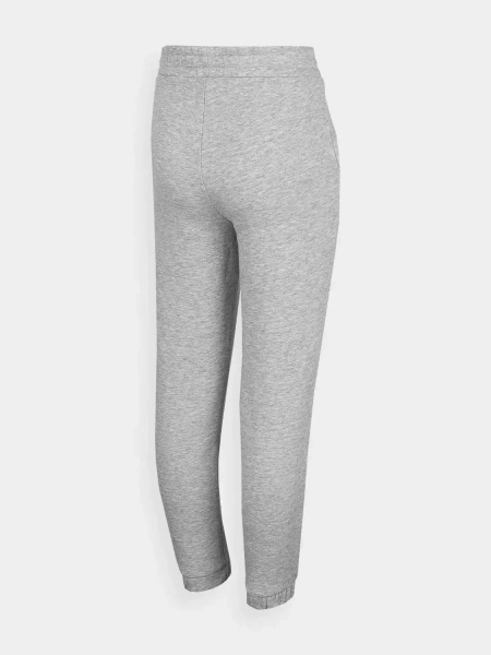 Spodnie dresowe dziecięce 4F HJZ22-JSPDD002-27M