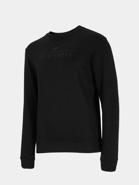 Bluza męska 4F H4Z22-BLM350-20S