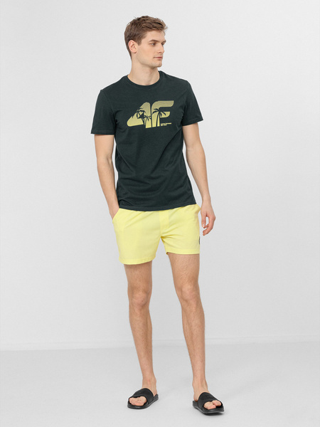 Koszulka męska 4F H4L22-TSM042-40S