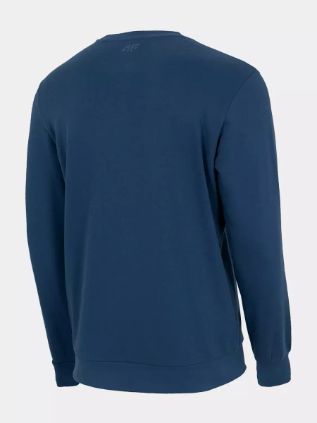 Bluza męska 4F H4Z22-BLM350-32S