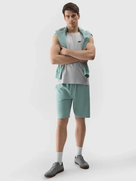 Koszulka męska 4F 4FWSS24TSLEM076-27M