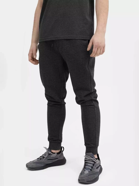 Spodnie dresowe męskie 4F 4FSS23TTROM223-23M