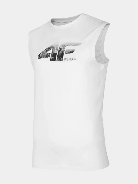 Koszulka męska 4F 4FWSS23TSLEM052-10S