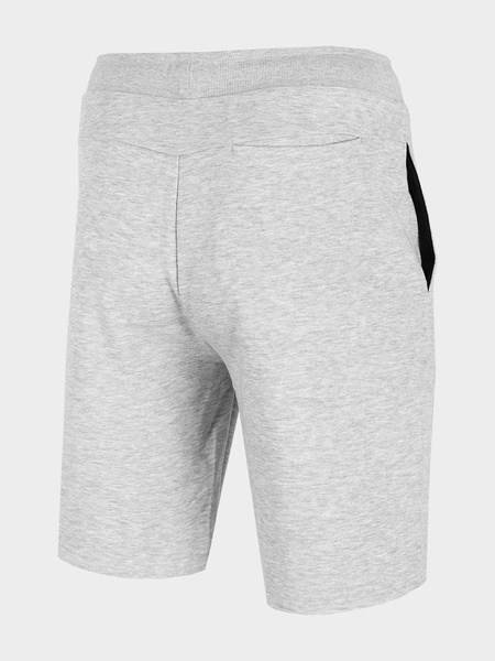 Spodenki męskie 4F H4L22-SKMD350-27M