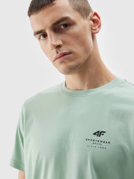 Koszulka męska 4F 4FAW23TTSHM0951-47S