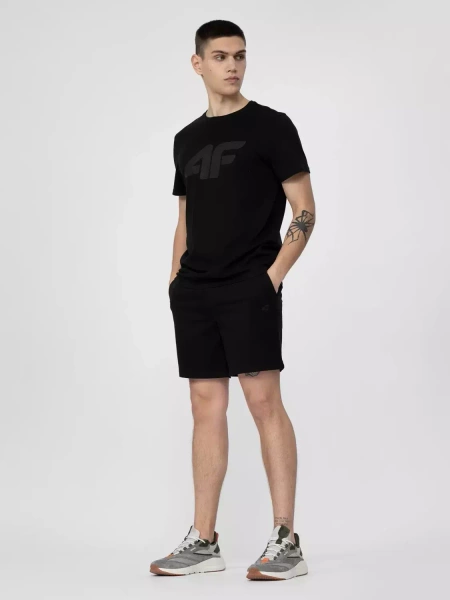 Koszulka męska 4F 4FSS23TTSHM537-20S