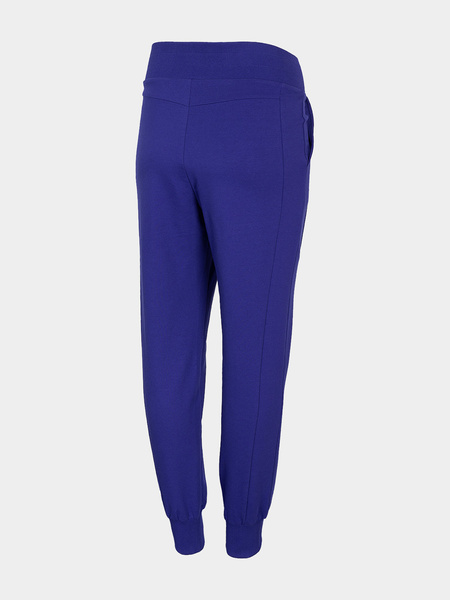 Spodnie dresowe damskie 4F H4L21-SPDD013-36S