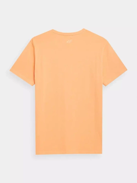 Koszulka męska 4F 4FSS23TTSHM364-64S