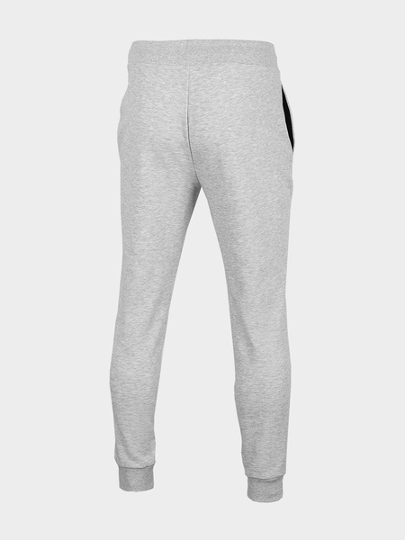 Spodnie dresowe męskie 4F H4L22-SPMD350-27M