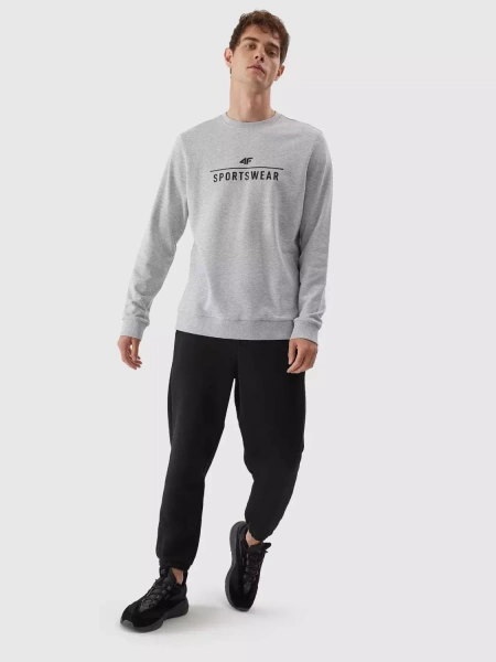 Bluza męska  4F 4FAW23TSWSM692-27M 