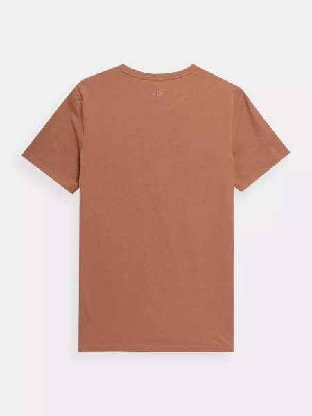 Koszulka męska 4F 4FSS23TTSHM364-81S