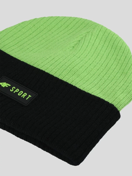 Czapka zimowa dziecięca 4F 4FJWAW24ACAPM427-45S