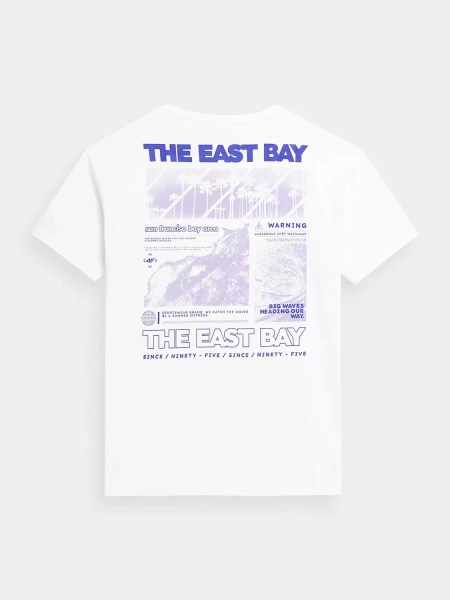 Koszulka męska 4F 4FSS23TTSHM358-10S