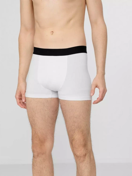 Bokserki męskie 4F 4FSS23UBXSM022-92S