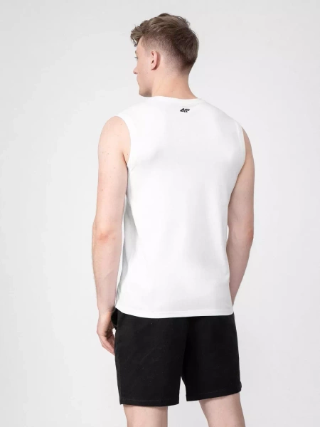 Koszulka męska 4F 4FWSS23TSLEM051-10S