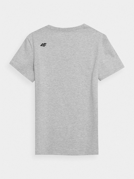 Koszulka męska 4F NOSH4-TSM353-27M