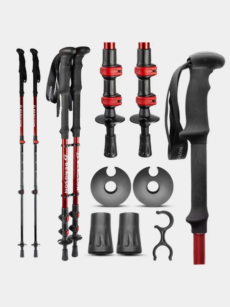 Kije trekkingowe BERGSON BTP-03