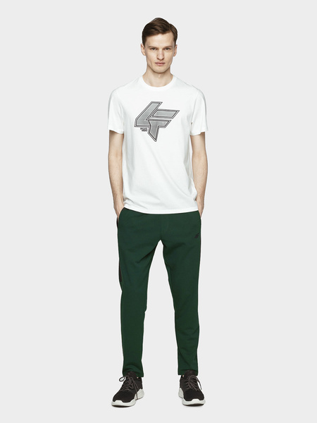 Spodnie dresowe męskie 4F H4L21-SPMD013-40S