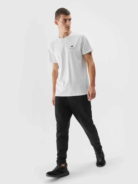 Koszulka męska 4F 4FAW23TTSHM0951-10S