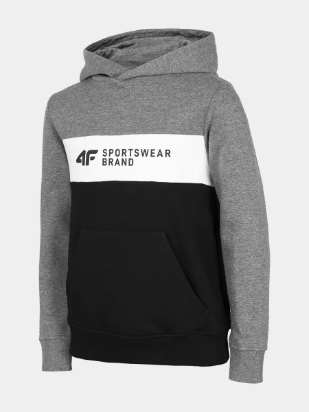 Bluza dziecięca z kapturem 4F HJZ22-JBLM003-24M