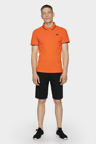 Koszulka męska 4F H4L19-TSM024-70S