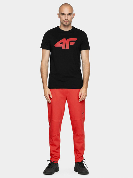 Koszulka męska 4F NOSH4-TSM353-21S