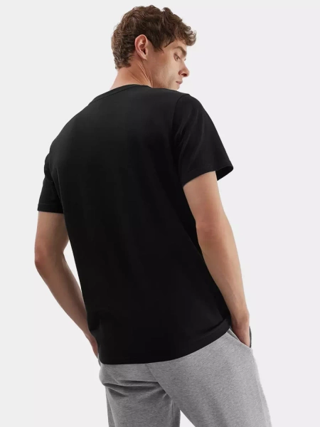 Koszulka męska 4F 4FAW23TTSHM0877-20S