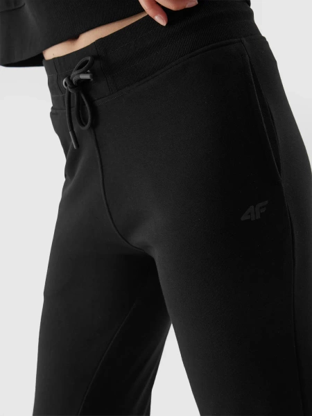 Spodnie dresowe damskie 4F 4FAW23TTROF474-20S 