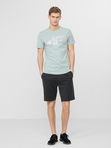 Koszulka męska 4F H4L22-TSM042-47S