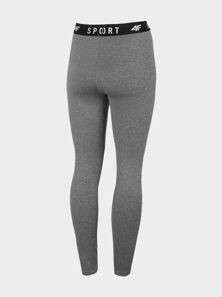 Legginsy damskie 4F H4L22-SPDF351-24M