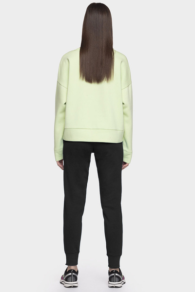 Spodnie dresowe damskie 4F NOSH4-SPDD001-20S