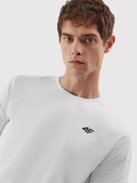 Koszulka męska 4F 4FAW23TTSHM0876-10S