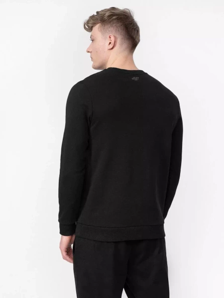 Bluza męska 4F 4FSS23TSWSM349-20S
