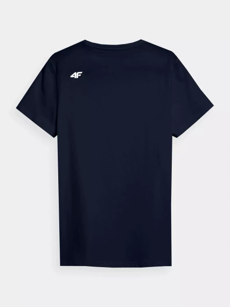 Koszulka męska 4F 4FWSS23TTSHM1229-31S
