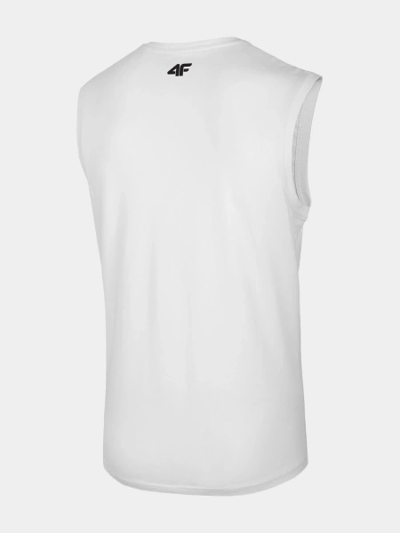 Koszulka męska 4F 4FWSS24TSLEM114-10S