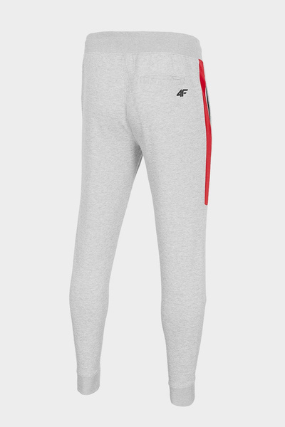 Spodnie dresowe męskie 4F H4Z20-SPMD014-27M