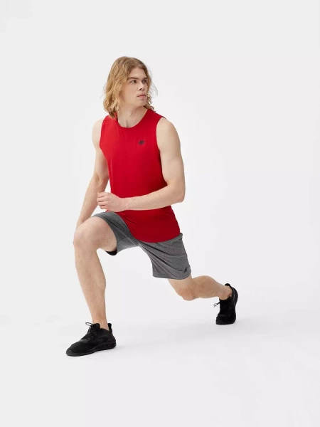 Koszulka męska 4F 4FSS23TFTSM258-62S