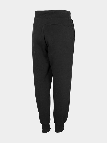 Spodnie dresowe damskie 4F H4L22-SPDD350-20S