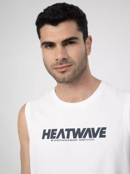 Koszulka męska 4F 4FSS23TTSHM357-10S