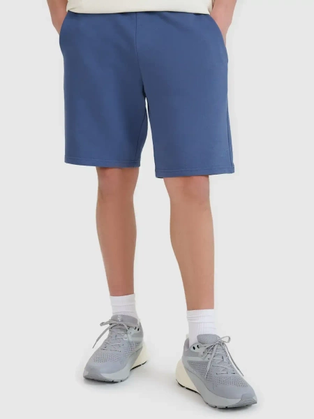 Spodenki męskie 4F 4FWMM00TSHOM543-32S