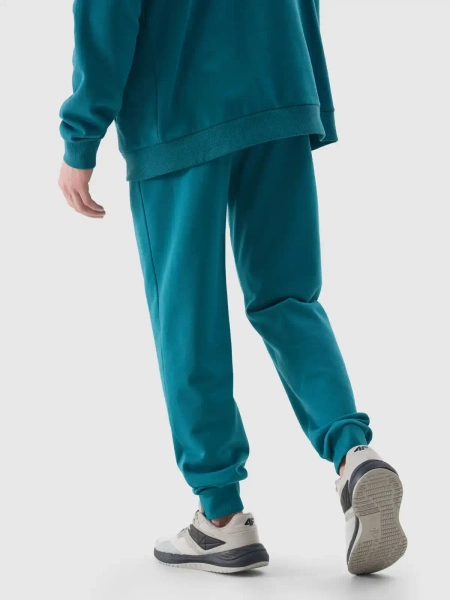 Spodnie dresowe męskie 4F 4FWSS24TTROM603-46S 